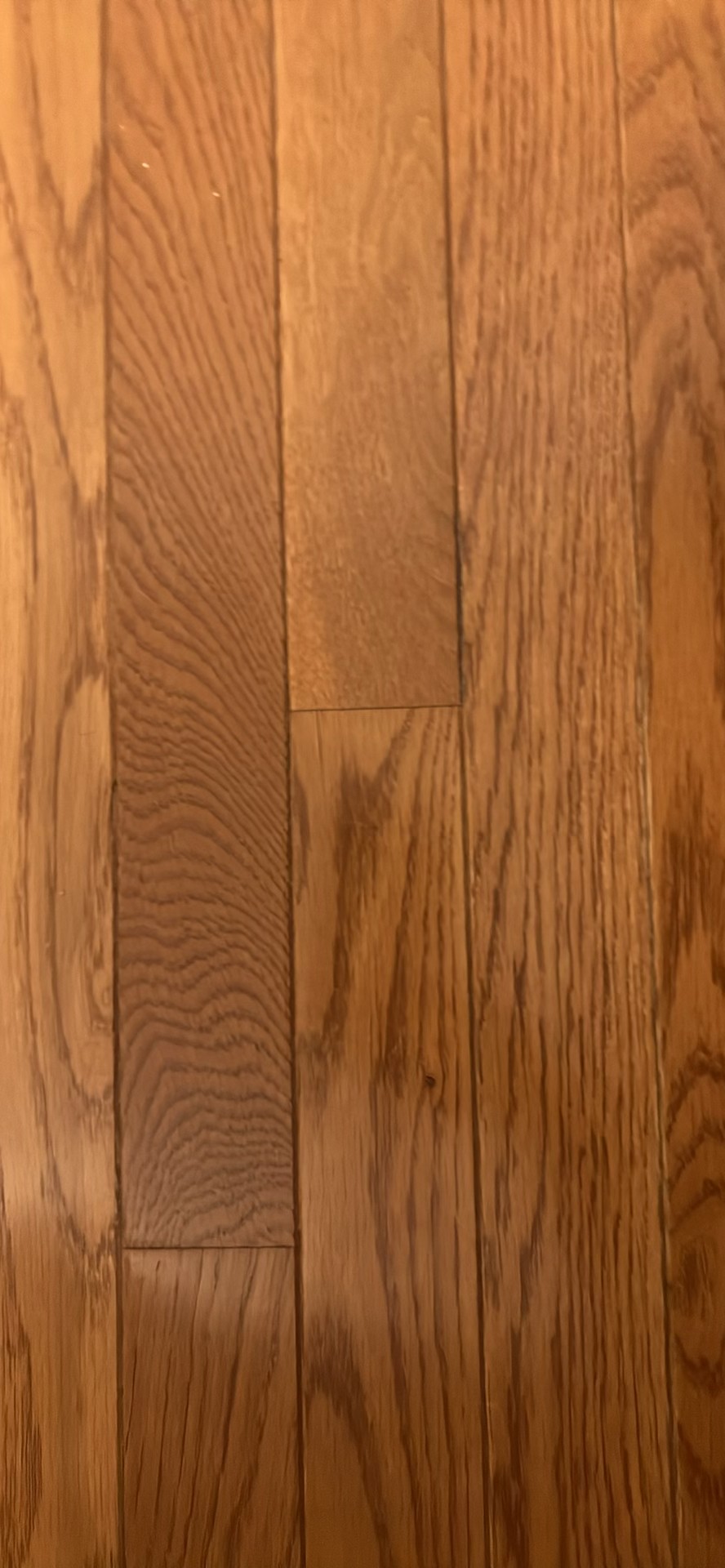 Red Oak Hardwood Flooring Planks Natural Finish
